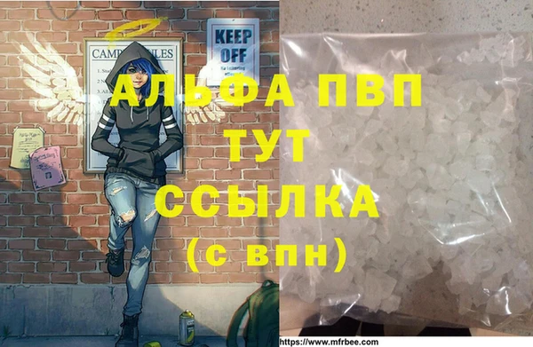 гашик Абинск
