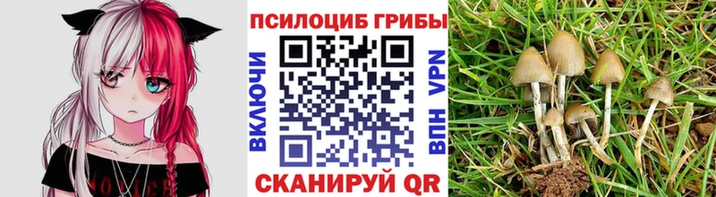 ссылка на мегу ссылки  Тарко-Сале  Галлюциногенные грибы мухоморы 